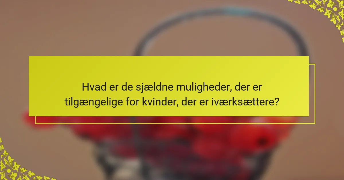 Hvad er de sjældne muligheder, der er tilgængelige for kvinder, der er iværksættere?