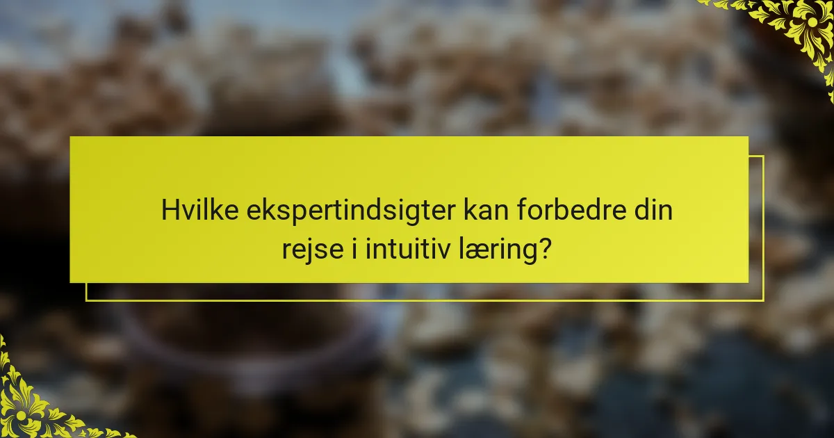 Hvilke ekspertindsigter kan forbedre din rejse i intuitiv læring?