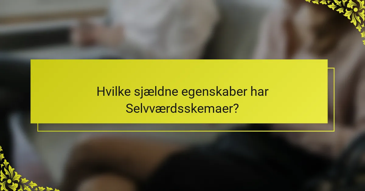 Hvilke sjældne egenskaber har Selvværdsskemaer?